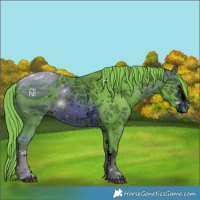 Horse Color:ERROR: UNKNOWN ANOMALY