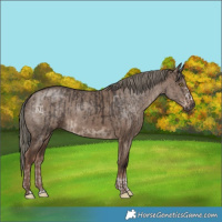 Horse Color:Liver Chestnut Mushroom and Liver Red Dun Mushroom