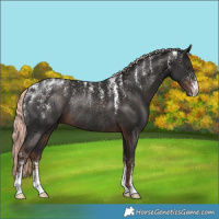 Horse Color:Powder White Liver Chestnut Mushroom Rabicano