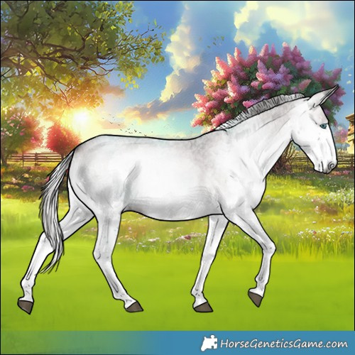 Horse Color:Gray Platinum Liver Red Onyx Roan Splash Rabicano 