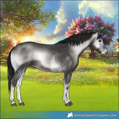 Horse Color:Gray Platinum Brown Onyx Sabino Rabicano