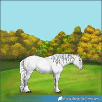 Horse Color:Silver Brown Chinchilla Ice Roan Pearl Dun Tobiano 