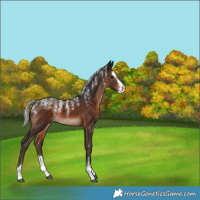Horse Color:Powder White Silver Brown Splash 