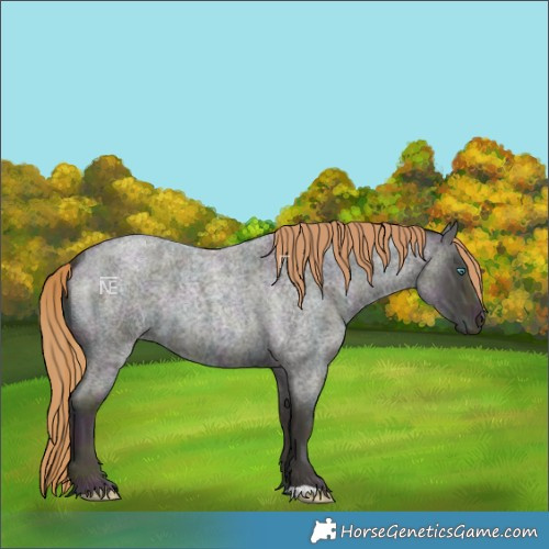 Horse Color:Midnight Smoky Grullo Ice Roan Pearl 