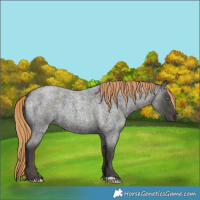 Horse Color:Midnight Smoky Grullo Ice Roan Pearl 