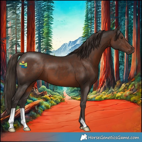 Horse Color:Liver Chestnut 