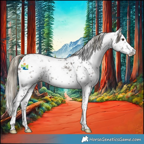 Horse Color:White Spotted Liver Chestnut Sabino 