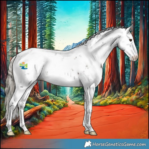 Horse Color:Liver Chestnut Sabino 