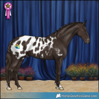 Horse Color:Liver Chestnut Blanket 