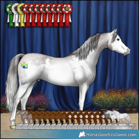 Horse Color:Gray Bay Roan Splash Frame Varnish