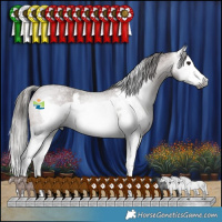 Horse Color:Gray Bay Roan Splash Frame Varnish 
