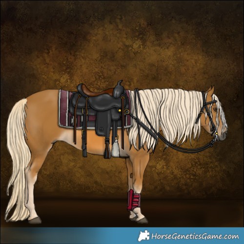 Horse Color:Gray Palomino 