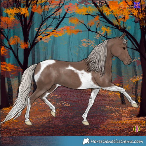 Horse Color:Silver Black Tobiano