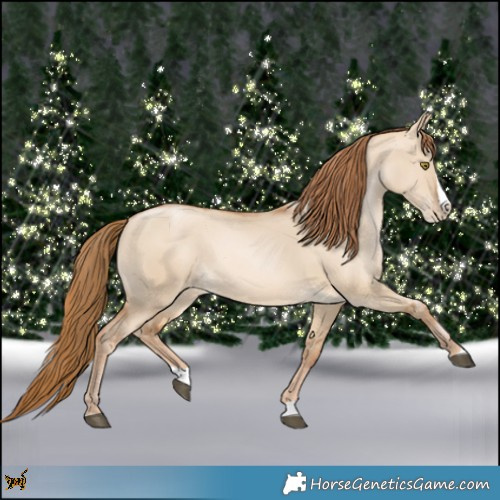 Horse Color:Red Dun Pearl Splash