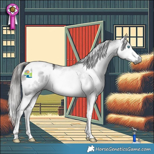 Horse Color:Gray Black Splash Tobiano Blanket Rabicano 
