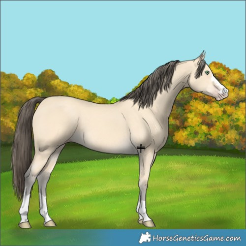 Horse Color:Amber Cream Champagne 
