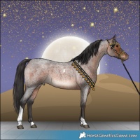 Horse Color:Brown Roan Tobiano Rabicano