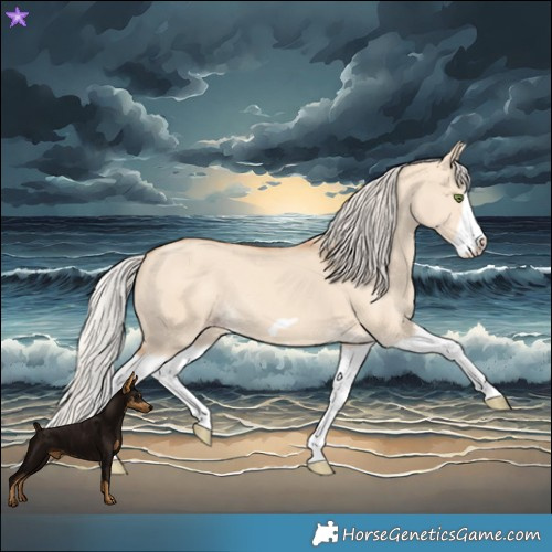 Horse Color:Silver Classic Champagne Dun Splash Frame
