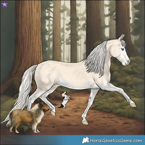 Horse Color:Cremello Splash  and Cremello Splash 