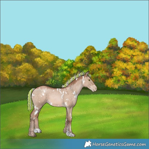 Horse Color:Painted White Spotted Silver Brown Pearl Dun Mushroom 