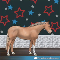 Horse Color:Gold Champagne Tobiano