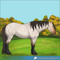 Horse Color:Bay Roan Dun
