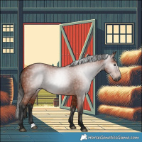 Horse Color:Gray Bay 