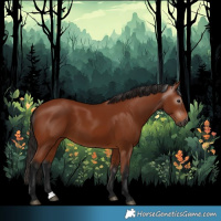 Horse Color:Gray Bay 