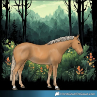 Horse Color:Palomino 