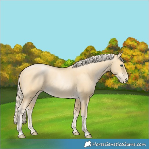 Horse Color:Palomino Pearl