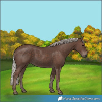 Horse Color:Silver Black