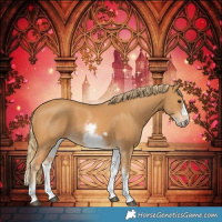 Horse Color:White Spotted Chestnut Frame 