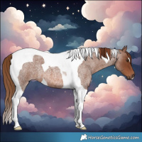 Horse Color:Red Roan Tobiano 