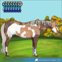 Horse Color:Silver Bay Dun Rabicano  and Silver Black Frame Rabicano 