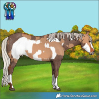Horse Color:Silver Bay Dun Rabicano  and Silver Black Frame Rabicano 