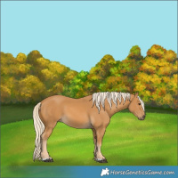 Horse Color:Palomino 