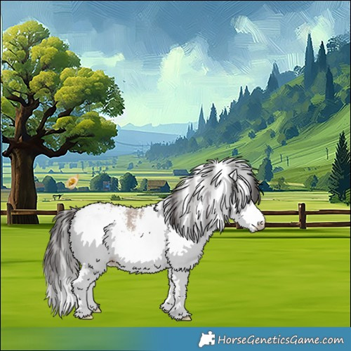Horse Color:White Spotted Brown Dun