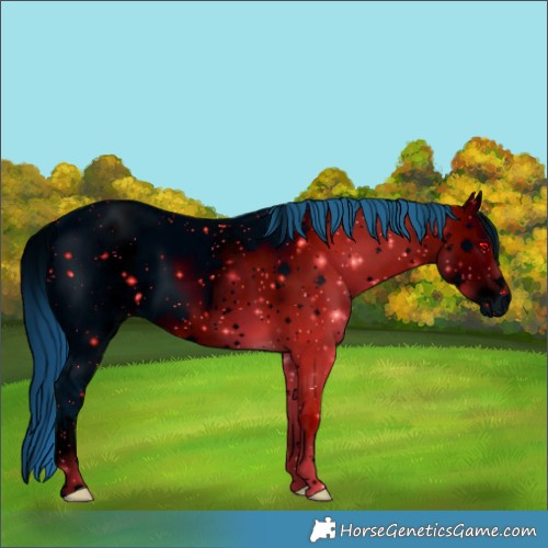 Horse Color:ERROR: UNKNOWN ANOMALY