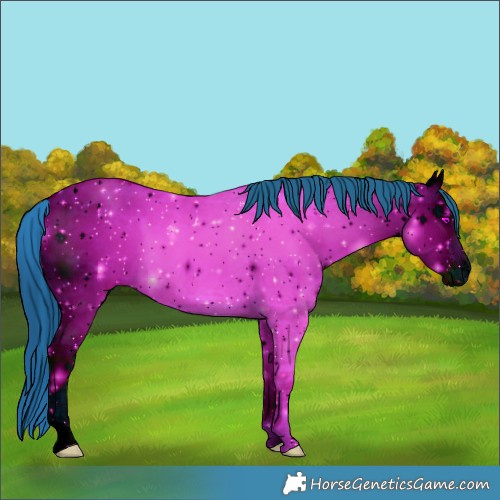Horse Color:ERROR: UNKNOWN ANOMALY
