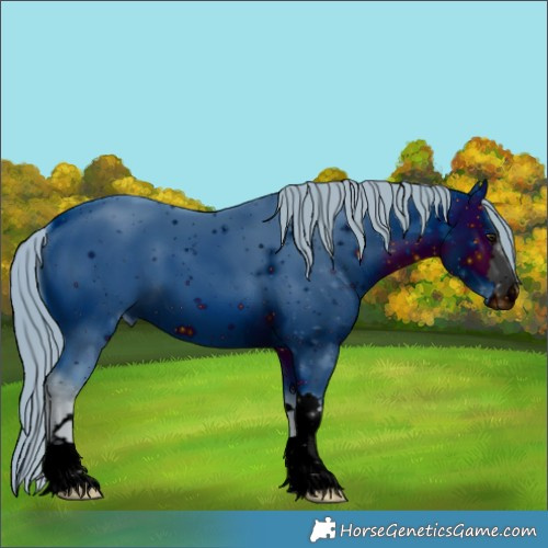 Horse Color:ERROR: UNKNOWN ANOMALY