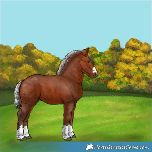 Horse Color:Silver Brown 