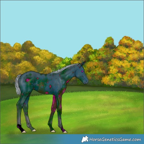 Horse Color:ERROR: UNKNOWN ANOMALY