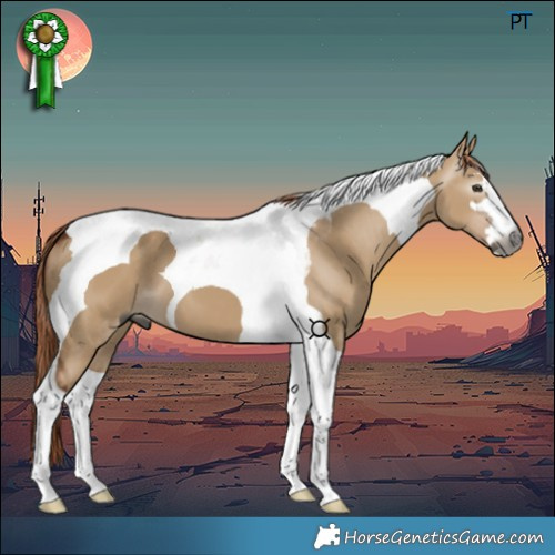 Horse Color:Gray Red Dun Tobiano 