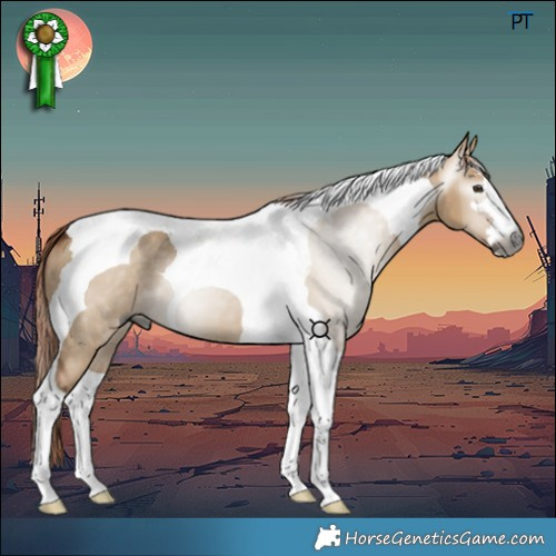 Horse Color:Gray Red Dun Tobiano 