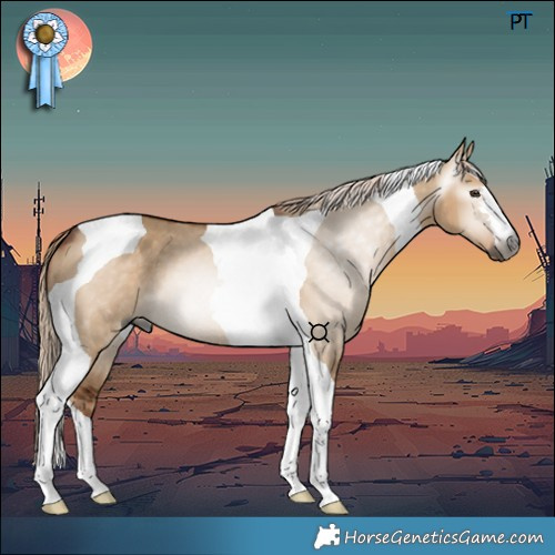 Horse Color:Gray Red Dun Tobiano 