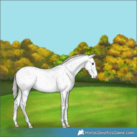 Horse Color:Silver Black Sabino