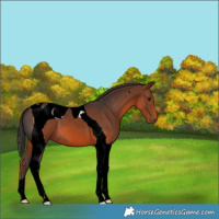 Horse Color:ERROR: UNKNOWN ANOMALY