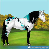 Horse Color:Silver Classic Cream Champagne Pearl Tobiano 