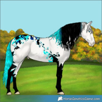 Horse Color:Silver Classic Cream Champagne Pearl Tobiano