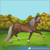 Horse Color:Gray Silver Black Pearl Tobiano 